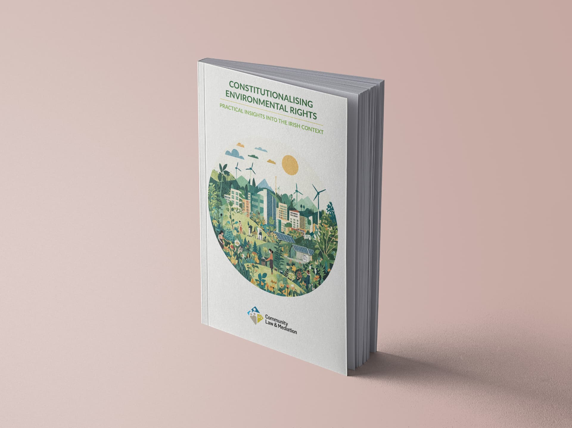 Constitutionalising Environmental Rights publication cover from the Pixelo portfolio