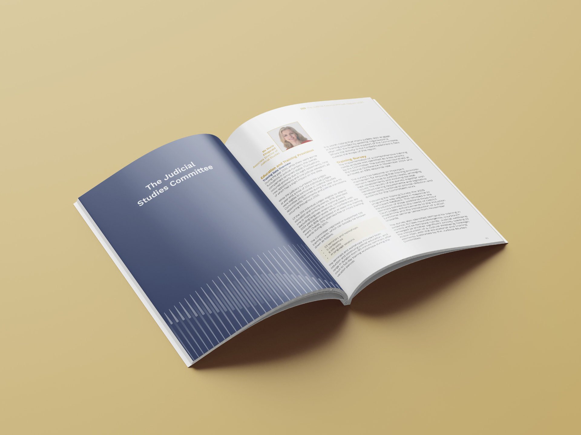 Open spread showing The Judicial Studies Committee divider page and training provision content in the Judicial Council Annual Report 2025