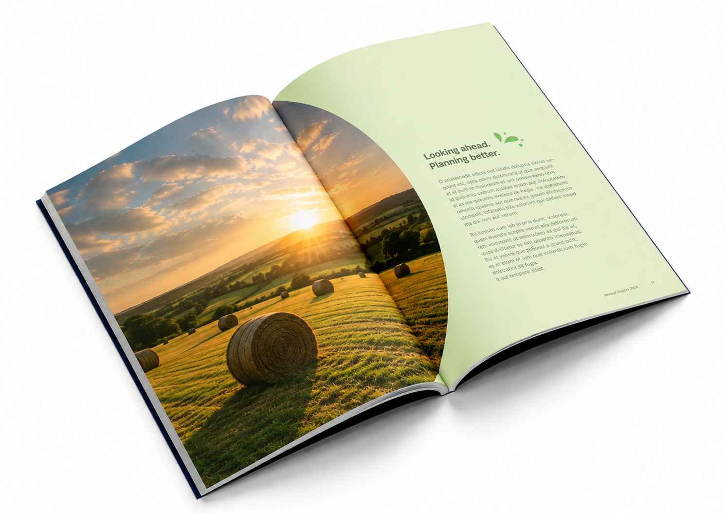 ESG report design for Irish organisations — open report spread with an Irish countryside sunset photograph and a 'Looking ahead. Planning better.' page, designed by Pixelo Design