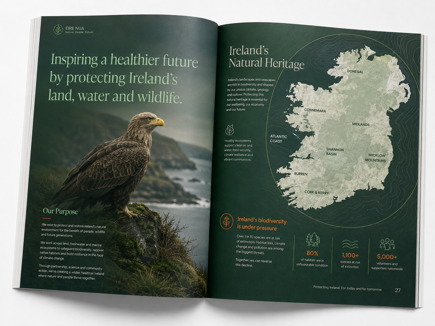 Annual report design spread featuring Ireland's natural heritage, eagle photography and biodiversity data by Pixelo Design